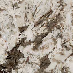 bianco antico granite - Kansas JR Granite